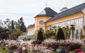 Museum Item Image